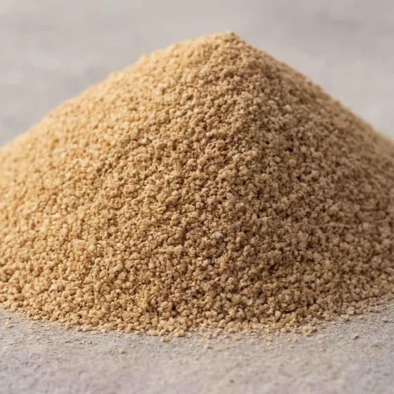 ماسه بادی دریایی